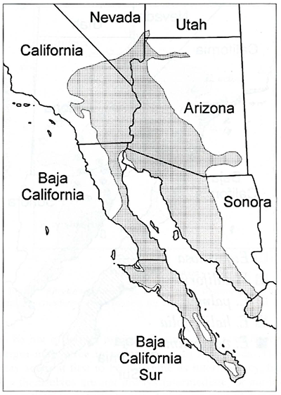 Range Map for Brittlebush