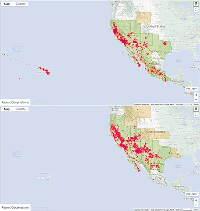 Range Map for Carpenter Bee